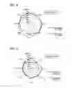 Fig. 09 - Coil spring for automobile suspension and method of manufacturing the same
