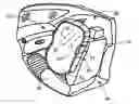 Fig. 01 - Airbag module