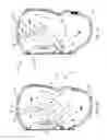 Fig. 06 - Airbag module