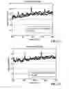 Fig. 11 - Noiseless Elastomeric Tracks For Tracked Vehicles