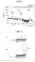 Fig. 03 - Physical quantity detecting sensor and actuator