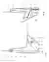 Fig. 05 - Dishwasher having a device for opening the door in gaps
