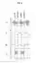 Fig. 07 - Discharge lamp lighting apparatus