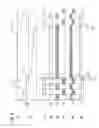 Fig. 07 - High-voltage discharge lamp lighting device and lighting fixture