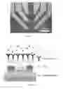 Fig. 14 - Sensors using high electron mobility transistors