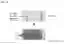 Fig. 05 - HIGH-SENSITIVITY, IN-VIVO, AND DYNAMIC DETECTION OF MAGNETIC PARTICLES WITHIN LIVING ORGANISM USING A PROBE-TYPE SQUID SYSTEM