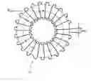 Fig. 01 - Proton precession magnetometer sensor measurable in all direction