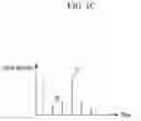 Fig. 04 - WIRELESS POSITIONING METHOD AND APPARATUS