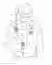 Fig. 01 - Body-worn antenna fastening device and method