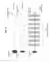 Fig. 17 - Servo-assisted scanning beam display systems using fluorescent screens