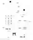 Fig. 02 - Angular sensitized keypad