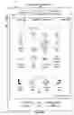 Fig. 06 - Device, Method, and Graphical User Interface Using Mid-Drag Gestures