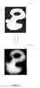 Fig. 12 - Method and system for creating depth and volume in a 2-D planar image