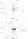 Fig. 04 - Access to control of multiple editing effects