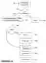 Fig. 19 - System for emulating graphics operations