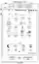 Fig. 07 - Device, Method, and Graphical User Interface Using Mid-Drag Gestures