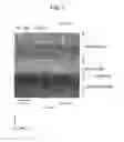 Fig. 07 - Droplet-ejecting head, droplet-ejecting apparatus, and piezoelectric element