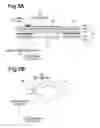 Fig. 06 - Method of manufacturing liquid discharge head, liquid discharge head and ink-jet printer