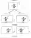 Fig. 01 - Method and system for utilizing pre-existing image layers of a two-dimensional image to create a stereoscopic image