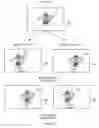 Fig. 06 - Method and system for utilizing pre-existing image layers of a two-dimensional image to create a stereoscopic image
