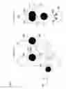 Fig. 03 - Image processing apparatus, camera, and image processing method
