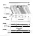 Fig. 05 - Image display viewing system, optical modulator and image display device