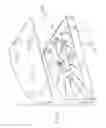 Fig. 23 - Exterior mirror vision system for a vehicle