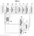 Fig. 04 - Foreign matter inspection apparatus and foreign matter inspection method