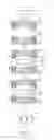 Fig. 07 - High SAG optical lens and method for fast molding the same