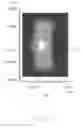 Fig. 06 - LED module