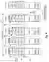 Fig. 05 - Data stripes and addressing for flash memory devices