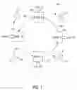 Fig. 02 - High speed ring/bus