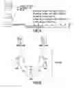 Fig. 05 - Enhanced control signaling for backhaul link