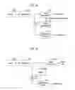 Fig. 09 - Method and apparatus for transmitting/receiving broadcasting-communication data