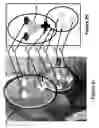 Fig. 06 - Digital image processing using face detection information