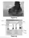 Fig. 10 - Digital image processing using face detection information