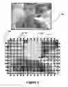 Fig. 19 - Digital image processing using face detection information