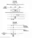 Fig. 06 - X-ray imaging system, imaging method and computer readable media including imaging program
