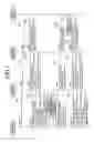 Fig. 08 - Optical network equipment and optical network