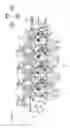 Fig. 06 - Image forming apparatus having body-side contacts and unit-side contacts