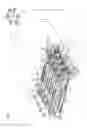 Fig. 07 - Image forming apparatus having body-side contacts and unit-side contacts