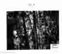 Fig. 05 - Mg-based alloy