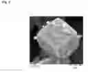 Fig. 03 - Process for the direct synthesis of Cu containing zeolites having CHA structure