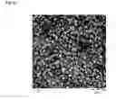 Fig. 23 - Process for the direct synthesis of Cu containing zeolites having CHA structure