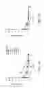 Fig. 09 - SPECIFIC BINDING PROTEINS AND USES THEREOF