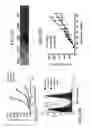 Fig. 124 - SPECIFIC BINDING PROTEINS AND USES THEREOF
