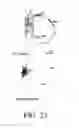 Fig. 25 - SPECIFIC BINDING PROTEINS AND USES THEREOF