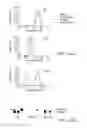 Fig. 28 - SPECIFIC BINDING PROTEINS AND USES THEREOF