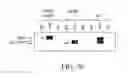 Fig. 32 - SPECIFIC BINDING PROTEINS AND USES THEREOF