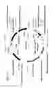 Fig. 68 - SPECIFIC BINDING PROTEINS AND USES THEREOF